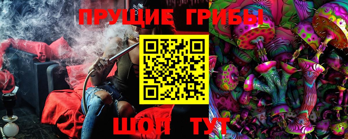Котельники  закладки  Псилоцибиновые грибы MAGIC MUSHROOMS  Вход с VPN  Псилоцибиновые грибы прущие грибы 