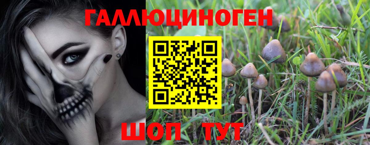 Псилоцибиновые грибы Magic Shrooms Котельники